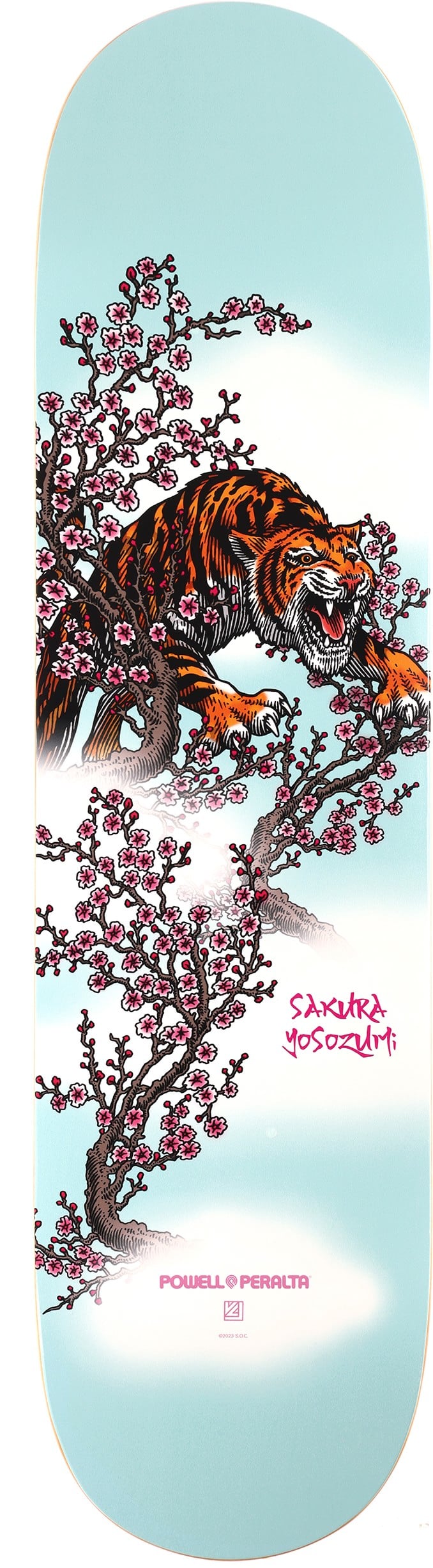 PWL/P YOSOZUMI TIGER DECK- 8.25 LT. BLUE flight